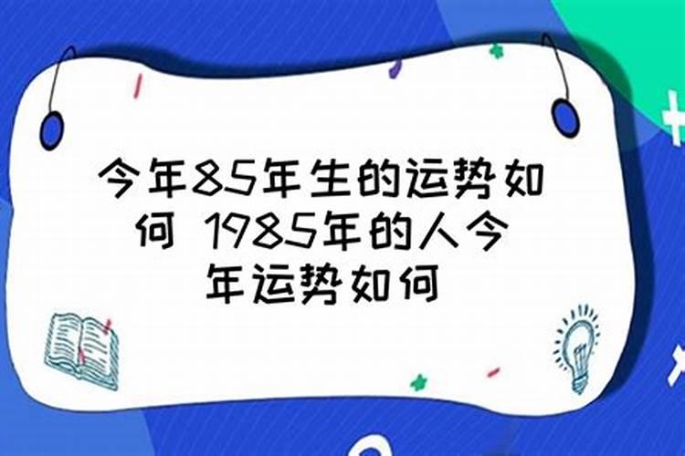 属兔犯太岁2023怎么化解