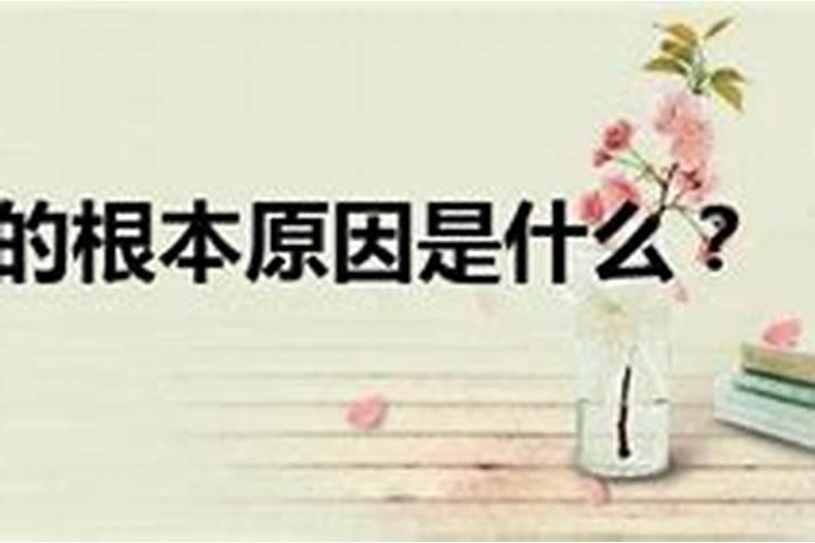 婚姻恐惧感是什么意思