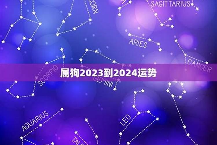 属狗2023到2025运势