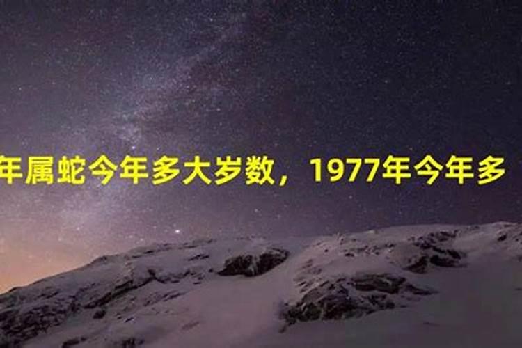 1977属蛇人今年几岁