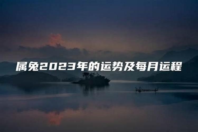 87年兔2023年运势及每月的运程如何