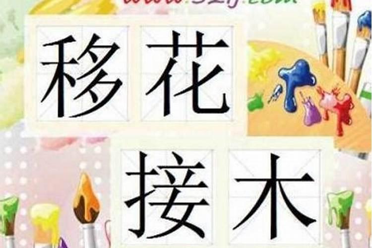 离祖成家的八字特点