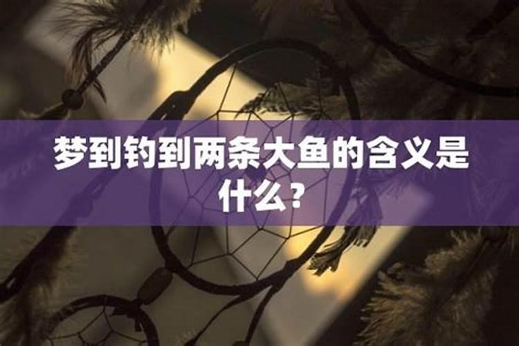 梦见钓到两条鱼是什么意思梦见钓鱼