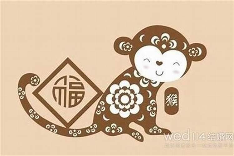 属猴的今年什么运气