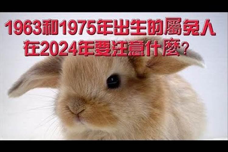 1963属兔女2023年运势及运程