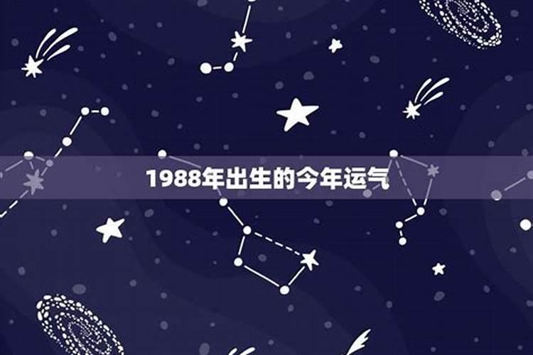 1988年生今年运势