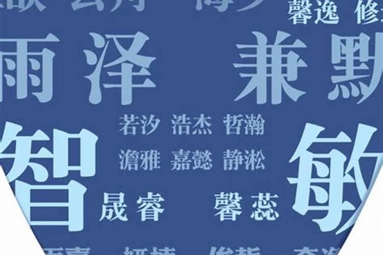 属龙女的名字