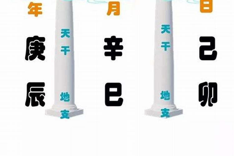 属羊的八字和属狗八字合吗