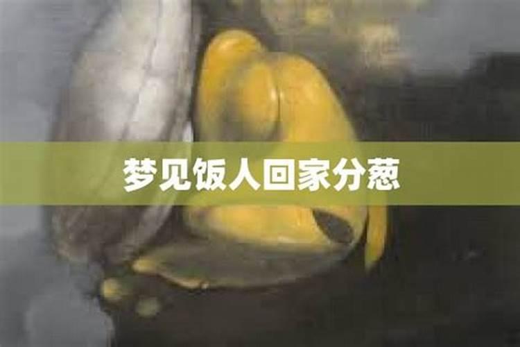 梦见分饭分菜什么意思周公解梦