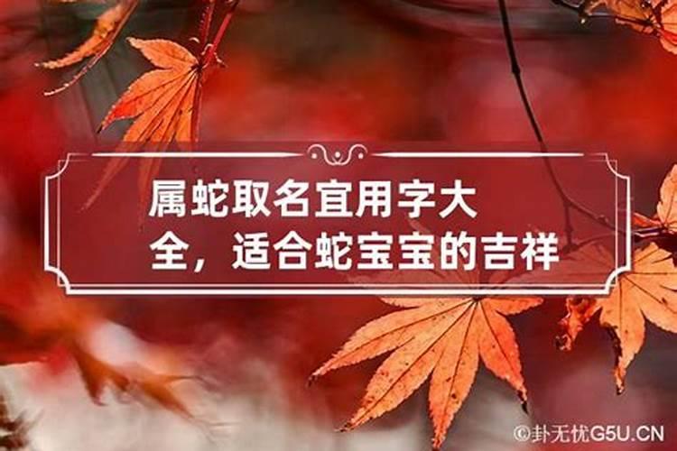 属蛇的宝宝起名宜忌字