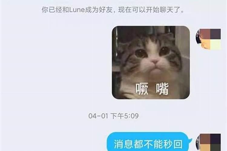 梦见猫爬我身上是什么意思