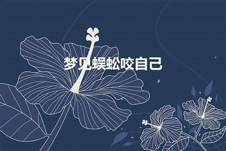 梦见特别大的蜈蚣咬我