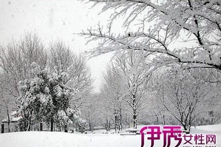 梦到雪是什么征兆男人