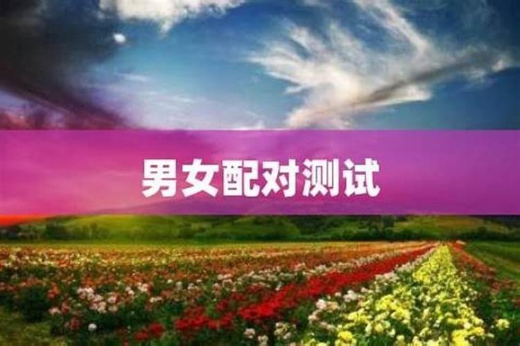 2022年属蛇犯太岁如何化解