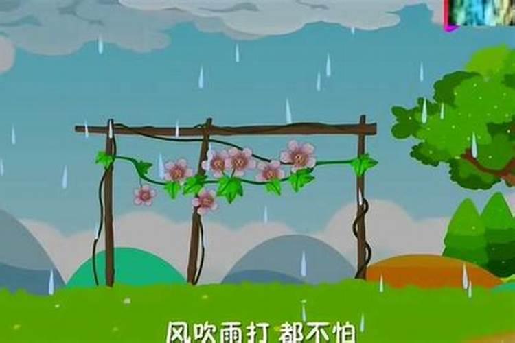 风吹雨打不畏惧是什么生肖动物