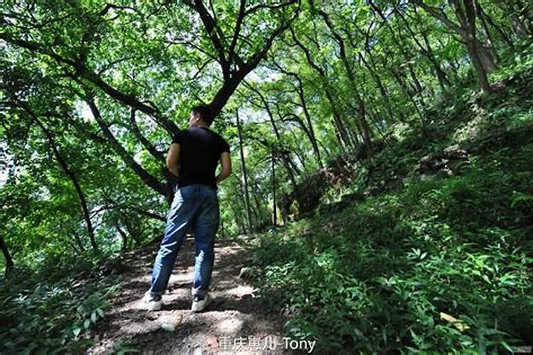 梦见跟已经死去的人一起爬山好不好