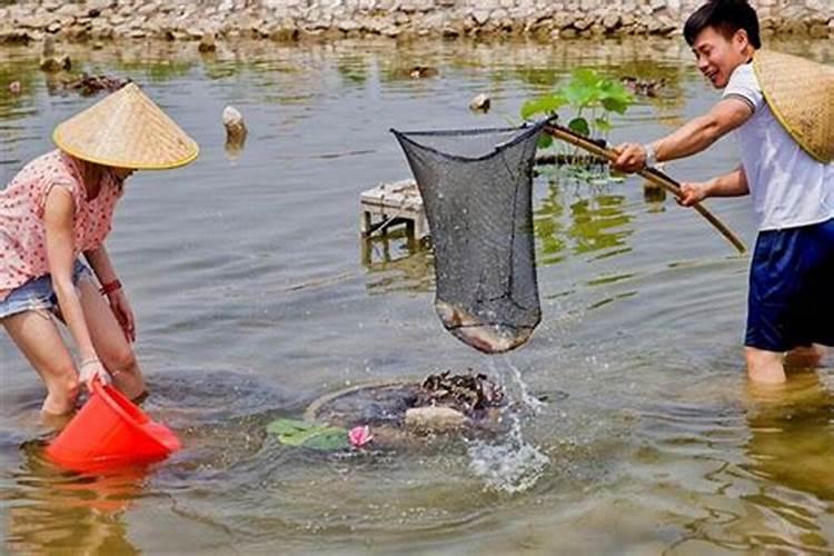 做梦梦到老公抓鱼意味着什么意思