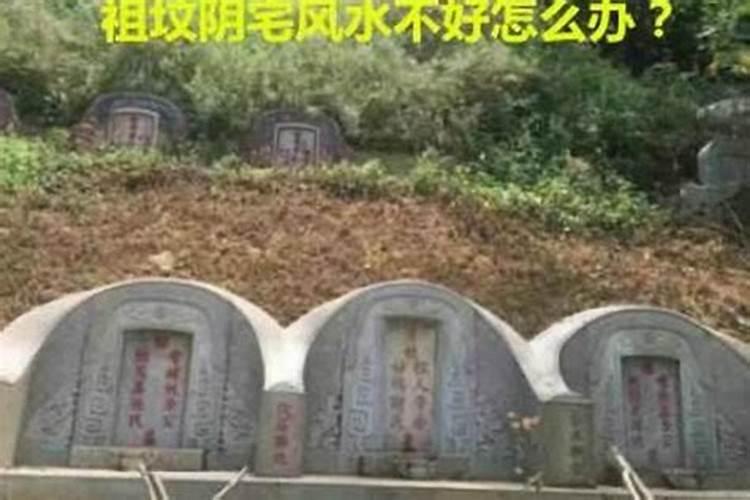 梦到家里坟地被破坏什么意思