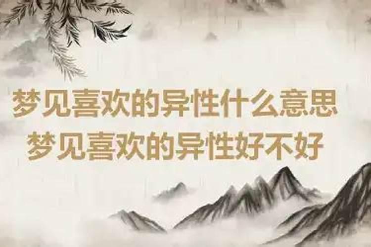 梦到的异性是喜欢吗