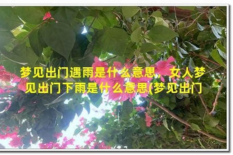 梦见姐姐出门又回来了