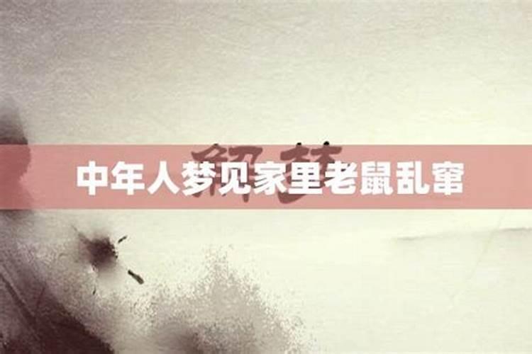 梦见老鼠乱蹦是什么意思周公解梦