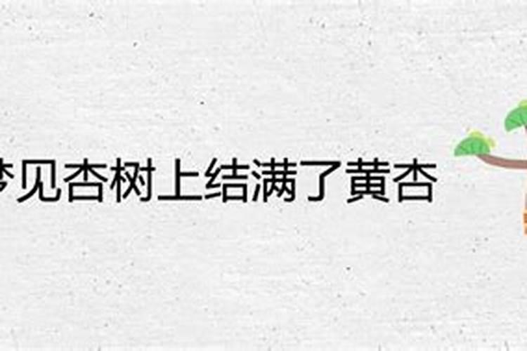 梦见杏树断了,吃到杏子了啥意思