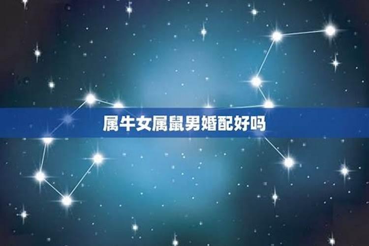 梦见朋友死了却还活着什么意思啊解梦