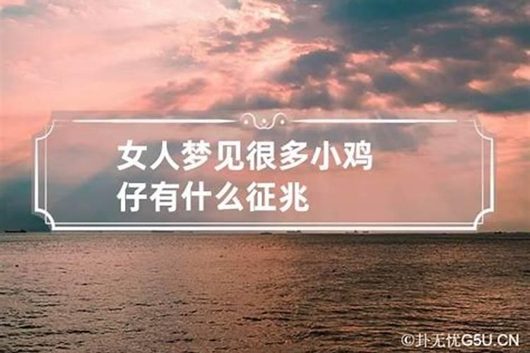 女人梦见三只小鸡仔好不好