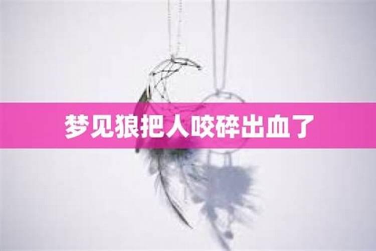 梦见狼把别人咬出血了啥意思