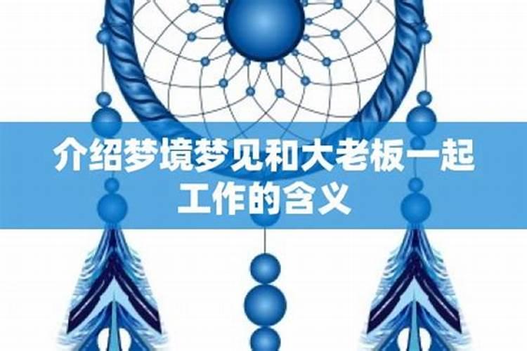 狗女在2023年下半年的运势