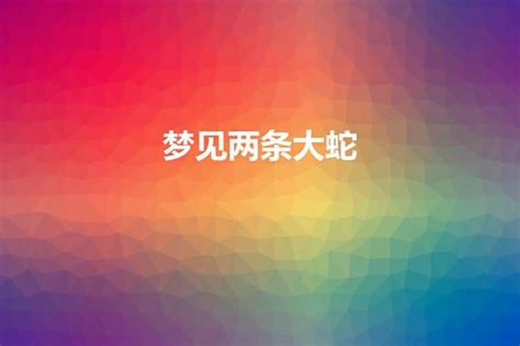 梦见两条大蛇入自己家里什么意思