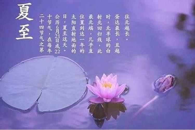 梦见看牛是什么意思