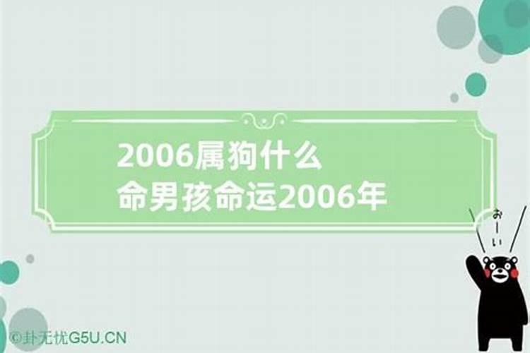 2006年的属狗人一生的命运