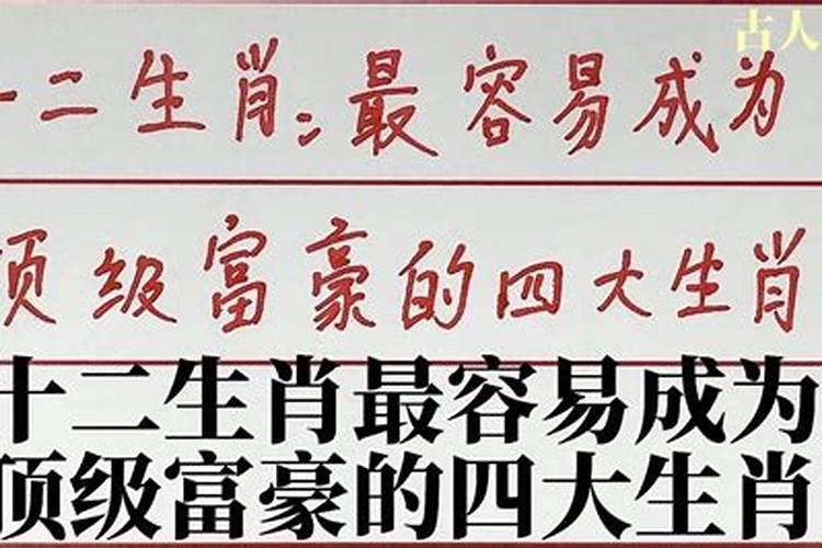 富豪一般属什么