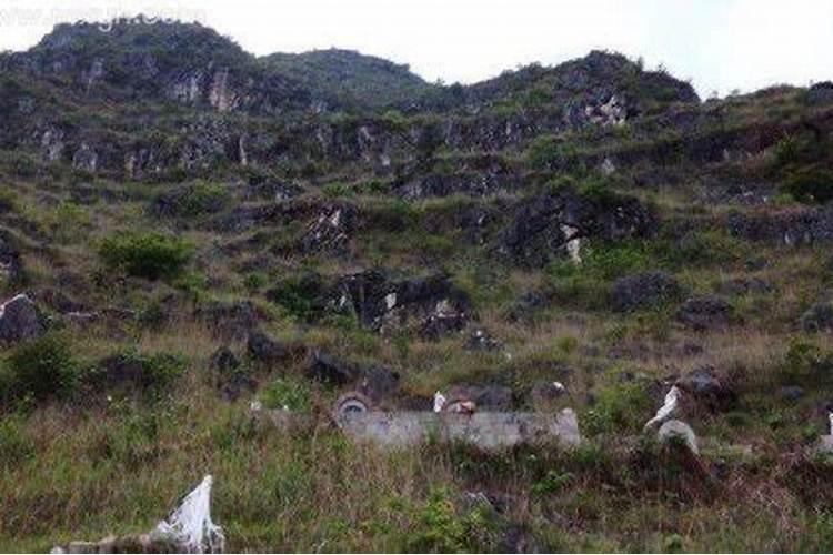 梦见坟山上许多青草