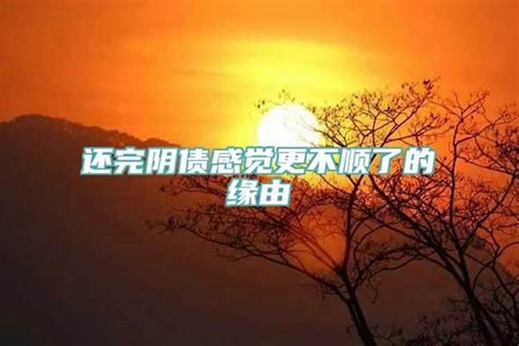 太岁和流年的区别是什么