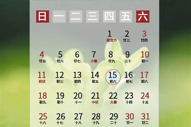 2021年农历二月二十一是几号生日