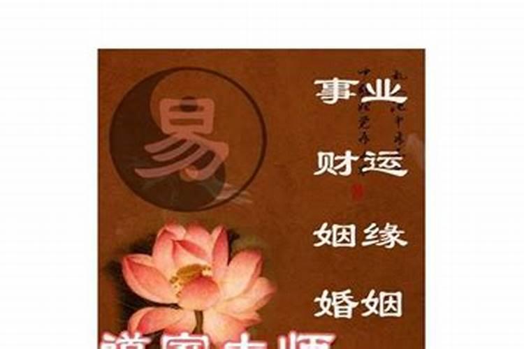 做梦梦见吃白菜