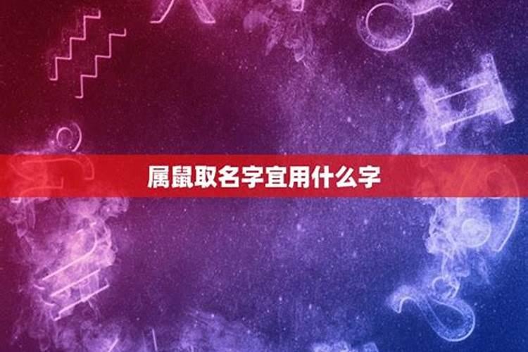 属鼠人取名不宜什么字