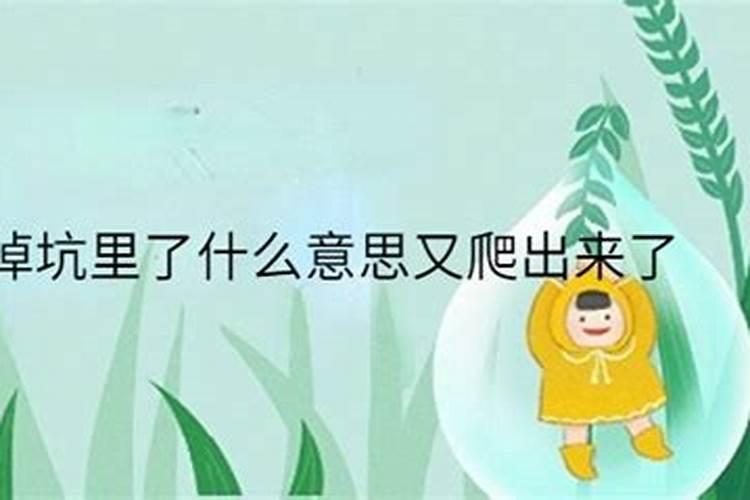 梦见了自己的孩子掉坑里了