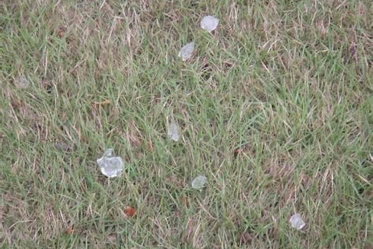 怀有身孕的人梦见下雨下冰雹了