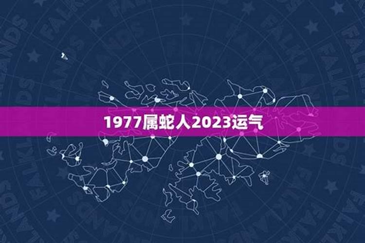 77年2023年运势及运程每月运程