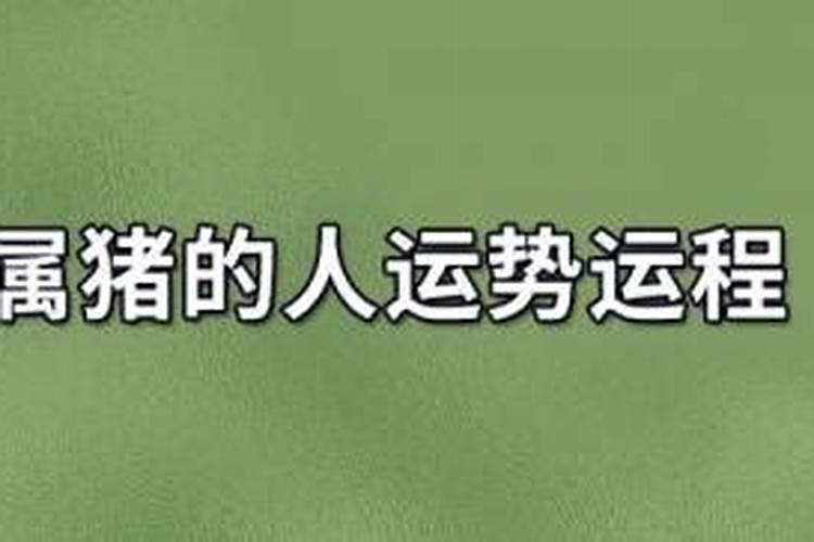 八字里的财官代表什么