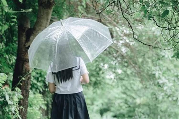 梦见淋雨了有人帮我撑伞啥意思