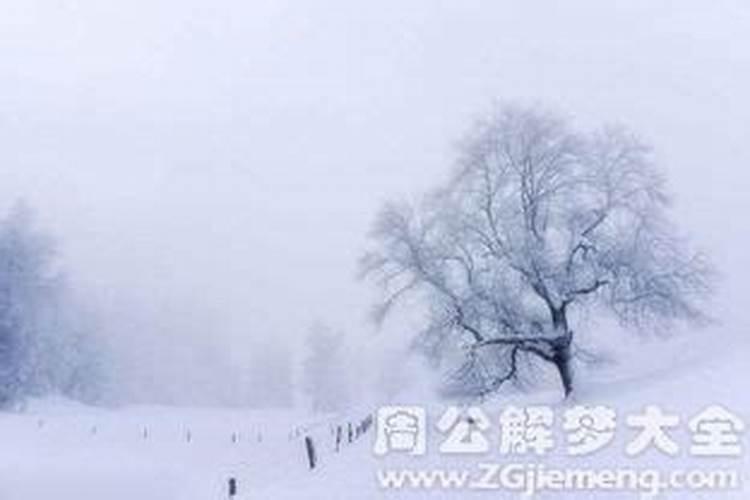 女人梦见雪景