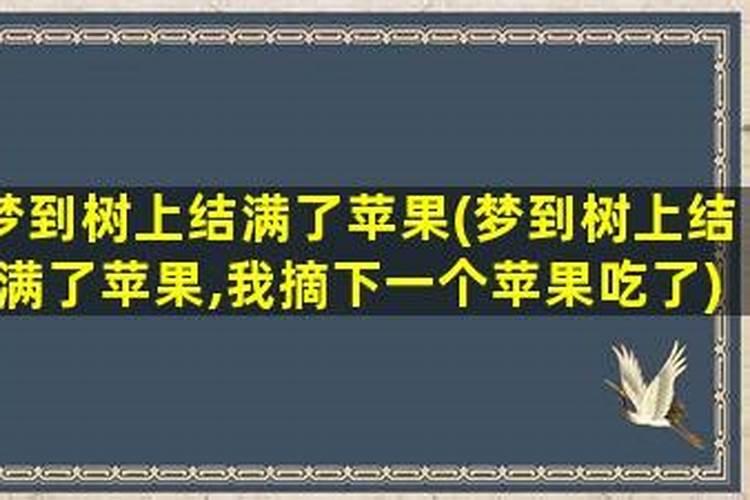 梦见树上只有一个苹果摘了很多吃