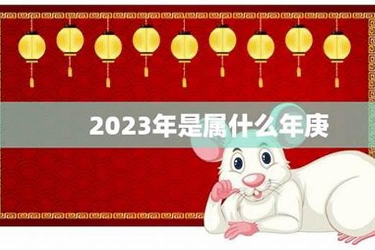 2023年属什么年