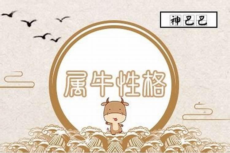 属牛的人性格缺点