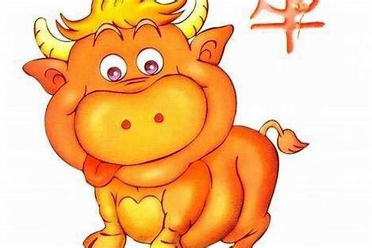 属牛今年的幸运色是什么颜色