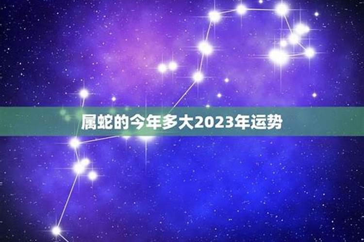 2023年属蛇犯哪位太岁